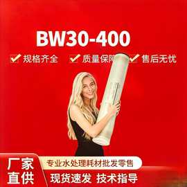 杜邦陶氏膜BW30 —400反渗透膜水处理ro膜滤芯高脱盐率抗污染膜