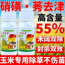 55%����ݬȥ������������ó��݄�����p�����ȵ��rș���ǲ�ͪ