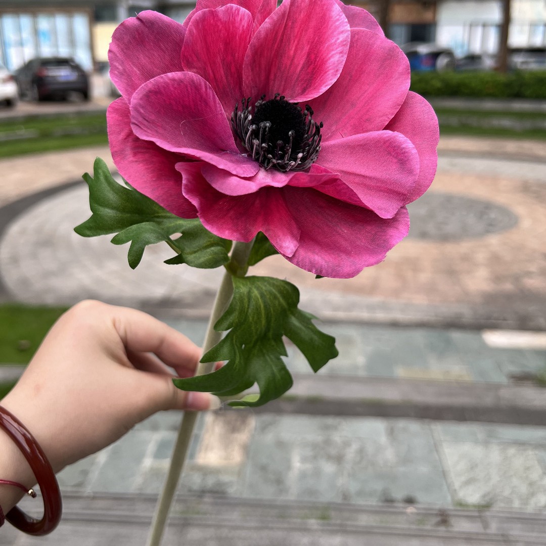 Una sola cabeza de simulación de plata Lotus Rose Red