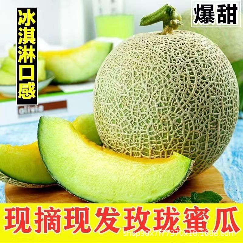 Net Melon, Juicy, Seasonal, Sweet Melon Ice Cream, Fresh Cantaloupe, Exclusive to the Farm, Free Shipping