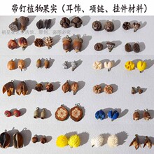 ��Ȼֲ��ɻ��ɹ����������헟��֟��׃��@�}�Q���b������