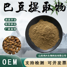 巴豆提取物10:1食品级原料药食同源原料水溶性粉末现货包邮