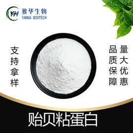 贻贝粘蛋白 雅华生物  原料 100g 海洋贻贝足丝提取