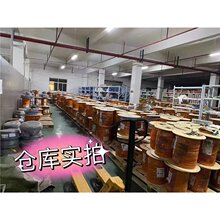 �׸�˹��|36о0.25ƽ�����Ԕ�����|igus chainflex CF880.02.36