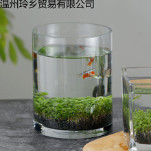 ����΢����ˮ��ˮ�����̬ƿDIY�Ӽ����������쾰���LD