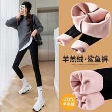 �����@�\�]�ӽq�Ӻ�350g���q���~ѝ�����Lѝ�е�΢����ů