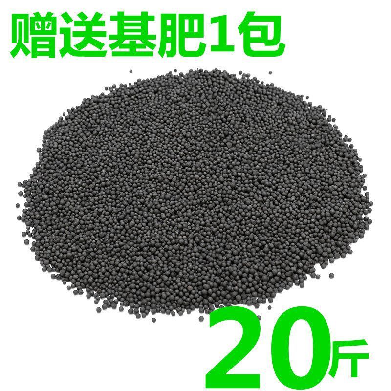 수생식물머드【10kg】강화정수버전 - 수생식물머드[종자없음] + 기초비료 단독구매