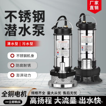 不锈钢家用220V耐腐蚀防生锈潜水泵高扬程大流量农用海水排污泵