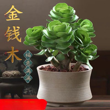 ���Xľ���԰lؔ���Ϙ�����ֲ��С���X���k���҃Ⱥ��B��ؔ�Gֲ����