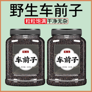 ܇ǰ����ș����Ʒ��Ş����ș܇ǰ�ӷ�܇ǰ�Ӳ�܇ǰ�Ѻ���������ˮ