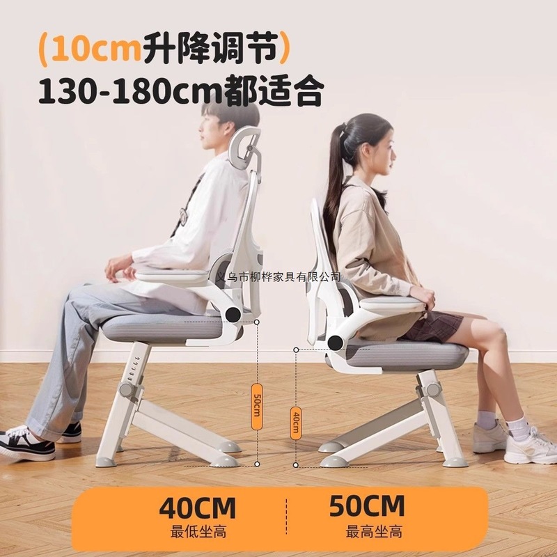 升降工学电脑椅子青年高初中学生专用写字书桌椅子儿童学习椅家用|undefined