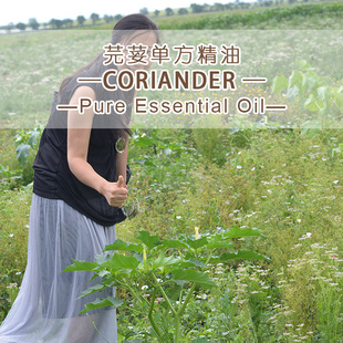 ӡ��ܾݴ�цη�����ԭ�����lCoriander�҂��ṩԭ�a���C ��˾���