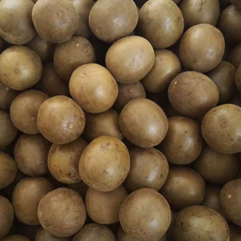 Luo Han Guo Monk Fruit 500g Large Whole Fruits from Guilin Guangxi for Throat-Soothing Tea quality and texture