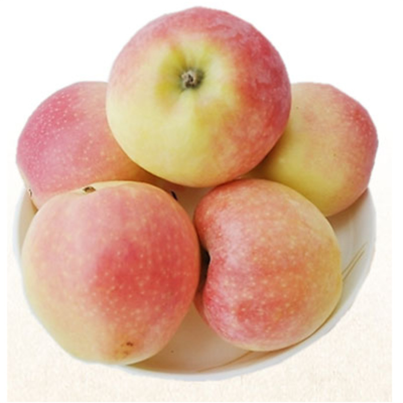 Shaanxi Red Fuji apples, seasonal fruit, Red Fuji apples, free shipping for whole orders, fruit film bags, single apple drop shipping Shaanxi Red Fuji apples, seasonal fruit, Red Fuji apples, free shipping for whole orders, fruit film bags, single apple drop shipping