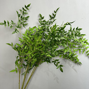 ����������Gֲ���ԼҾӾƵ��b����[������ֲ���ָ���������ľ