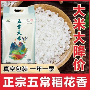 �����峣������10��20���L�������l���׾W�t��ʳ�F؛�k����