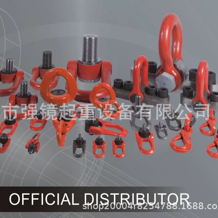 Подъемные точки Люксембург-Вьентьян, подъемные кольца, подъемные кольца серии DSR и DSS