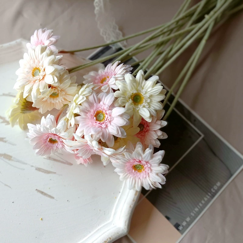 Фототовары для принцессы солнечная батарея, интернет-знаменитость, широкая палитра цветов