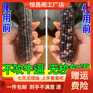 �S�Ұ��]���l�������ױ��B����ɫ���{���߲�С�����ְѼ��P����