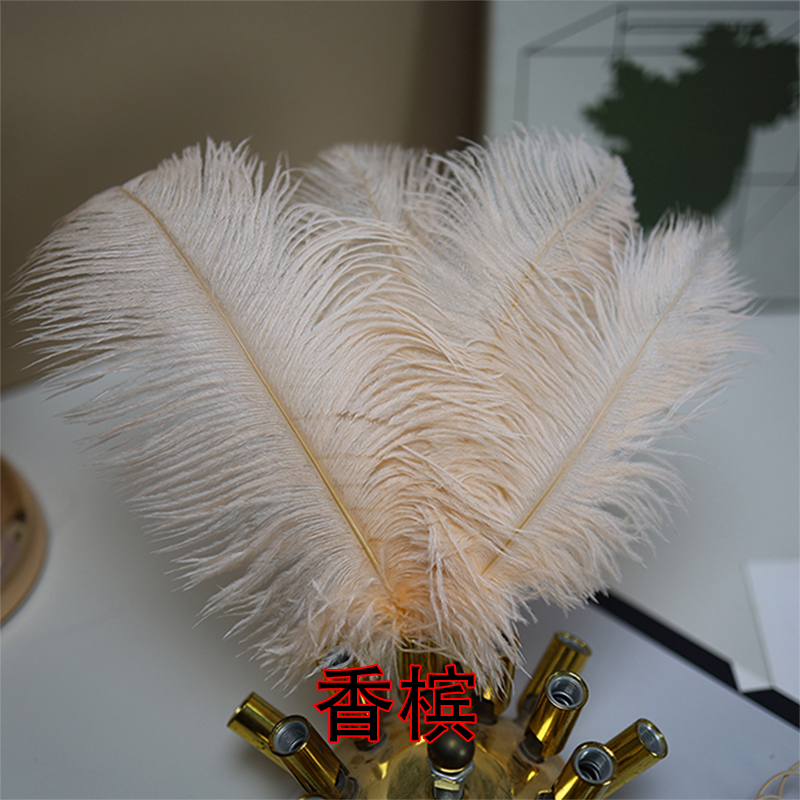 Plumas de avestruz bodas blancas de avestruz guía de plumas accesorios de fotos adornos rojo rosado en línea grandes plumas decoración