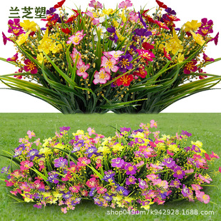 �羳�F؛���洺��С�r�����컨�����m��ˮ�ݰ�÷�ٻ�����Ҿ��b�