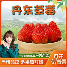 代用/养生茶;苹果;花果茶