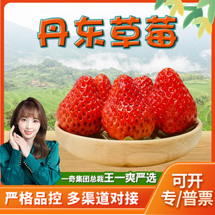 �����x���|�����|��ݮ ���l1/3���^�����r��ݮ��Ŵ����99��ݮˮ��