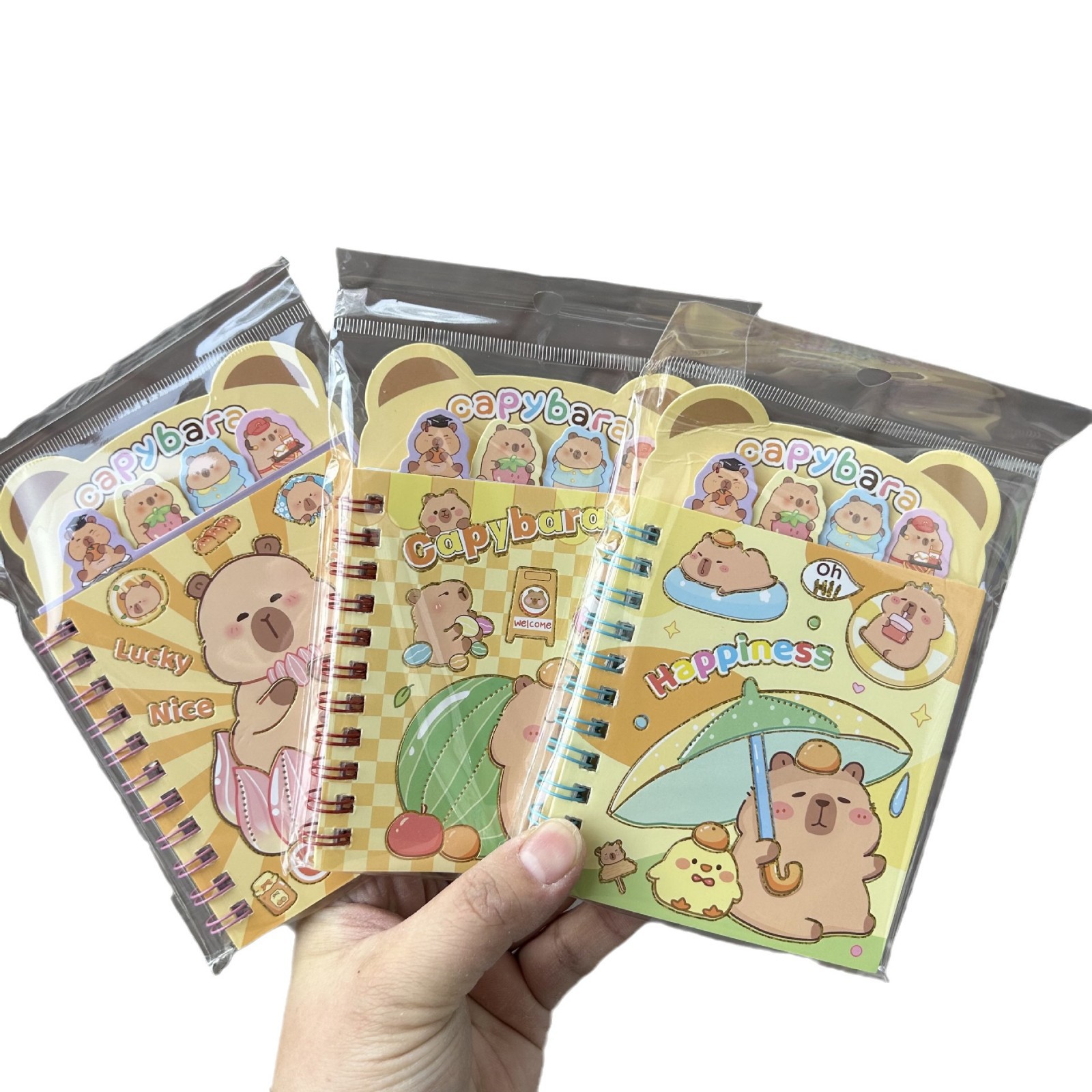 Sanrio hermosa clasificación de forma de bobina de dibujos animados mini bolsillo cuaderno regalo de jardín de infantes