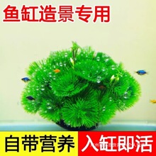 �G�����������������ˮ��һ���׃���ˮ�|Ʒ�羳�S��ֱ�Nֱ�l���S