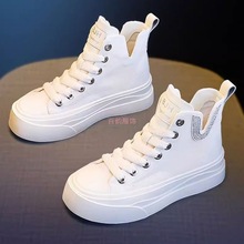 ߎͷСЬŮ2025＾¿͸ٴߎe\Ьֵ