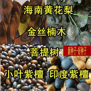 SNӡ̴С~̴NӳĴzľN