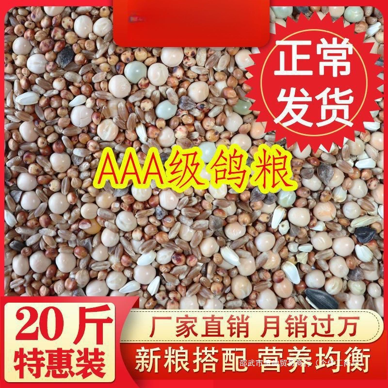 Пища голубя без кукурузы Пища голубя Молодые голуби