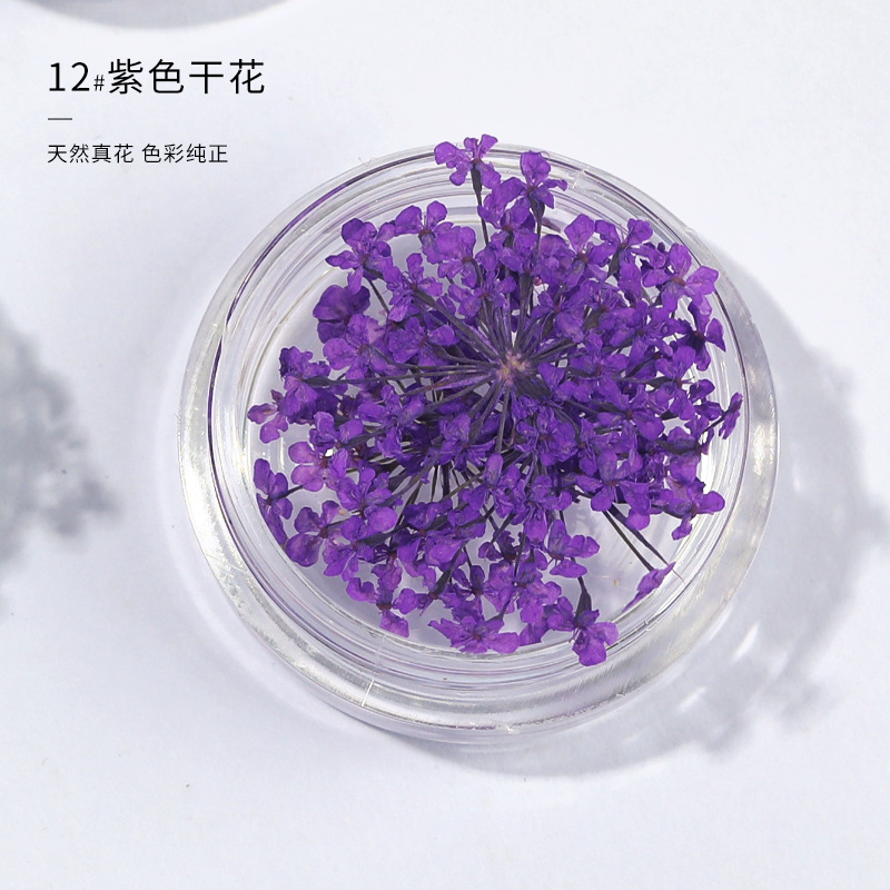 퍼플 레이스 플라워 (3 박스)