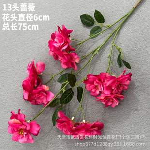 13�^С�Nޱ����ٻ��tɫ��ɫ�۽z��c��Y�����Ĕz�҃Ȳ��ò廨�[