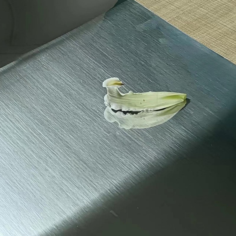 微信图片_20230331114929