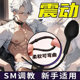 名器倒模;其他情趣用品;仿真阳具