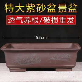 特大号长方形紫砂盆景盆假山老桩榕树花盆阳台种菜盆透气养根彩绘