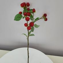 ����ֱ�����滨��ݮ�����潬�����滨�Ҿ�װ�ΰڼ������������