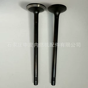 In-stock supply of Shangchai (SDEC) MAN 13 intake valve 51041010523 and exhaust valve 51041010524