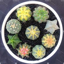 �o���������ȫ�¿�M���������ֲ��͏d�҃������¿�