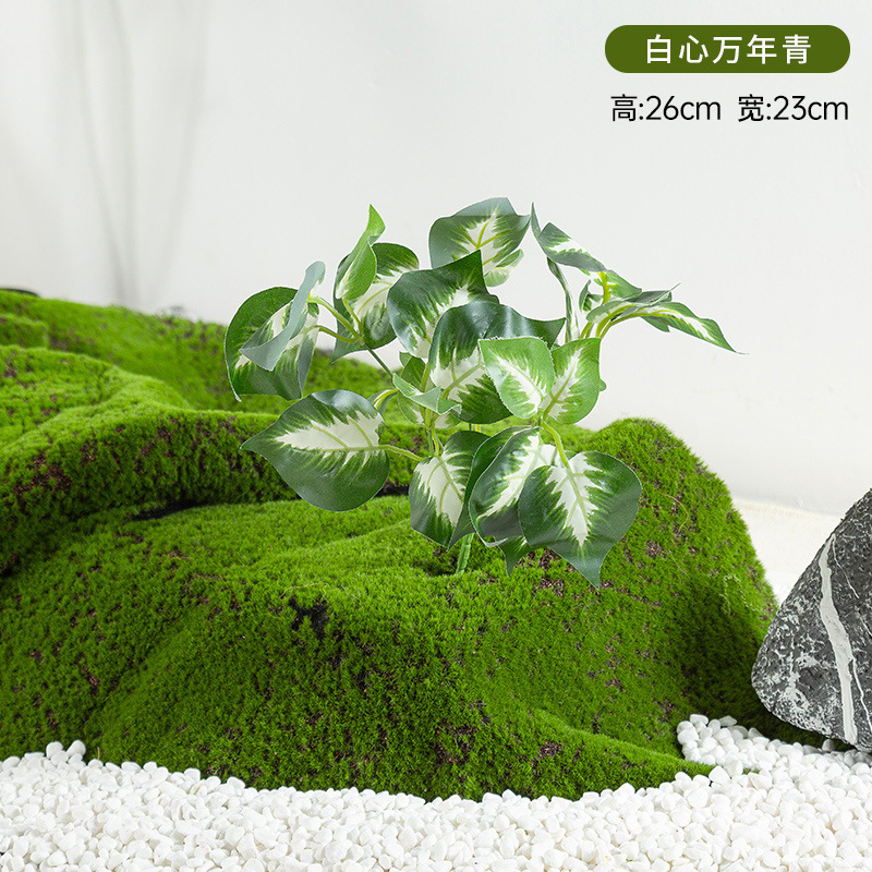 Simulación de plantación y paisajismo verde, materiales de distribución pequeños de todo uso, materiales auxiliares, arreglos florales, helechos, césped falso, decoración de plantas pequeñas, decoración de paisaje image 18