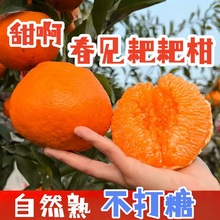 ��Ҋ�ҰҸ��Ĵ�üɽ�|�´�Ҋ�ҰҸ��������r��ժ�Լҹ��@�Fժ�F�l