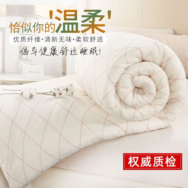 quilt The quilt core Mat Cover is spring and autumn Thin quilts Single Double pad student dormitory mattress Miantai thickening