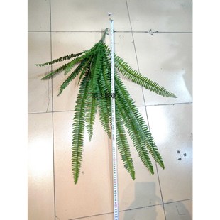 ���沨˹��ᘴ�ާ�Ѳ�ʯ��֦ɽ�֦���ט��҃ȾGֲ�b��^�廨