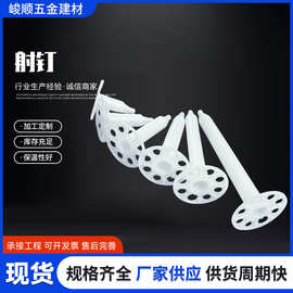 外墙保温射钉 内墙保温钉气动射钉岩棉钉挤塑板聚苯板保温射钉