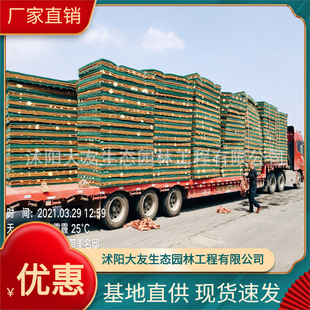 Floating Wetland Floating Wetland Floating Island Artificial Ecological Floating Island Artificial Floating Island Floating Bed on Water