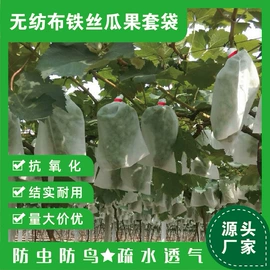 无纺布袋