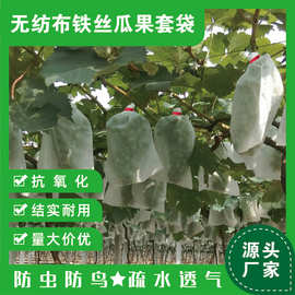 无纺布葡萄水果套袋子 防鸟虫袋透气水果保护梨子套袋专用批发
