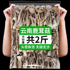 云南产级鹿茸菇干货新鲜脆脆菇500g煲汤鹿茸菇干香菇食材鹿茸