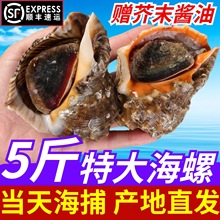 �����r���ش����r����̖��ݎ��Sؐ��rˮ�a��ȫ3���b��S